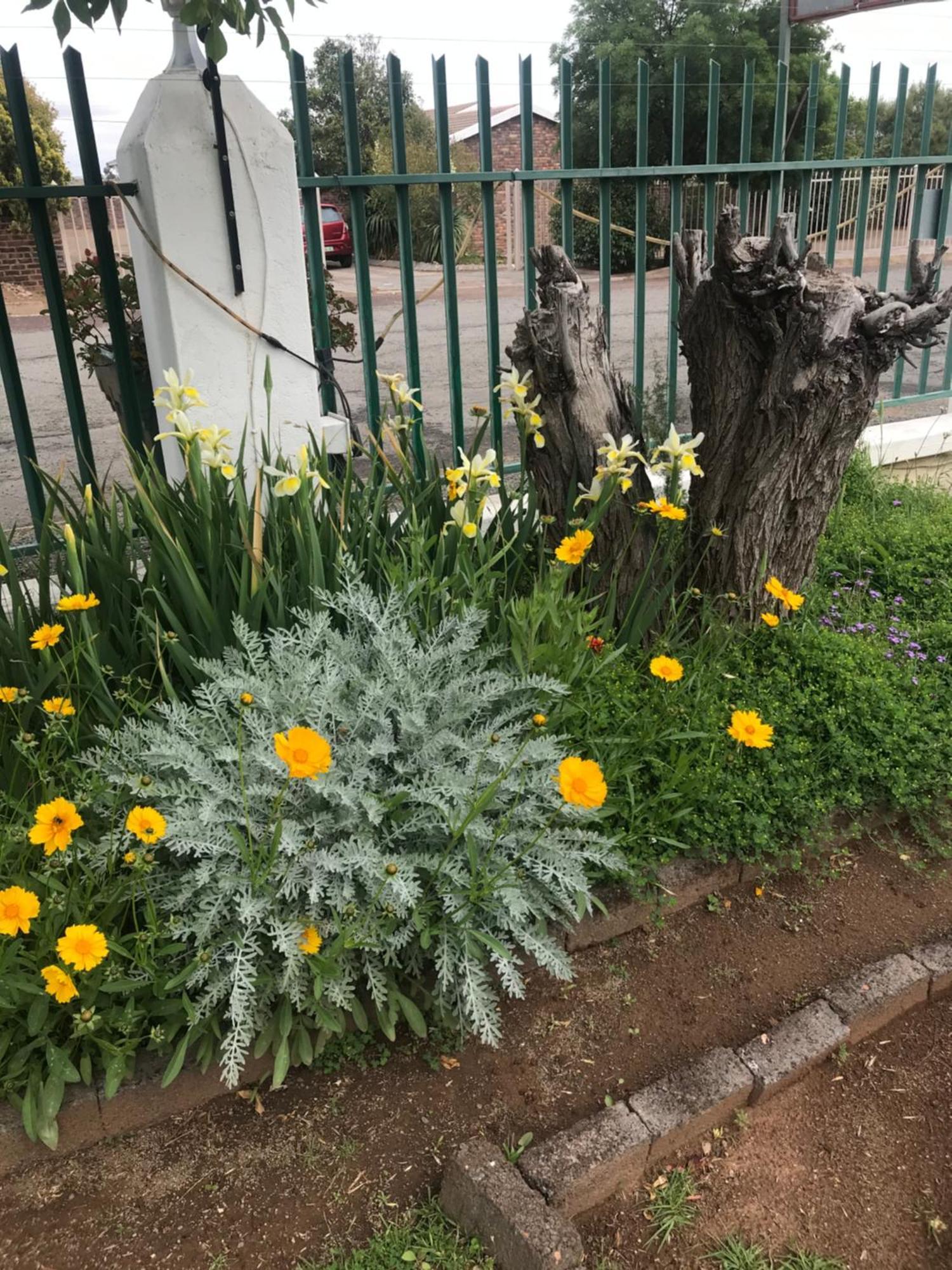 Colesview Guest House Colesberg Dış mekan fotoğraf