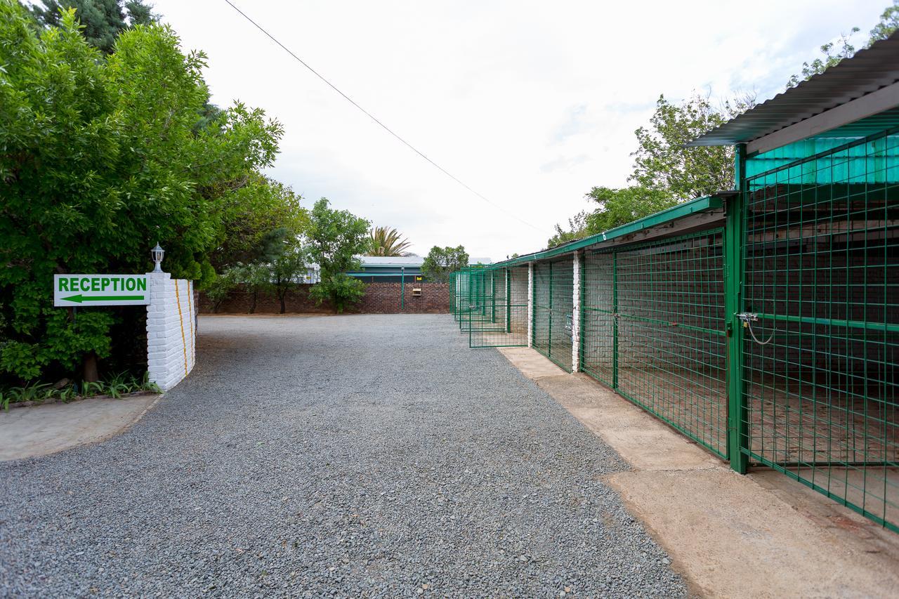 Colesview Guest House Colesberg Dış mekan fotoğraf